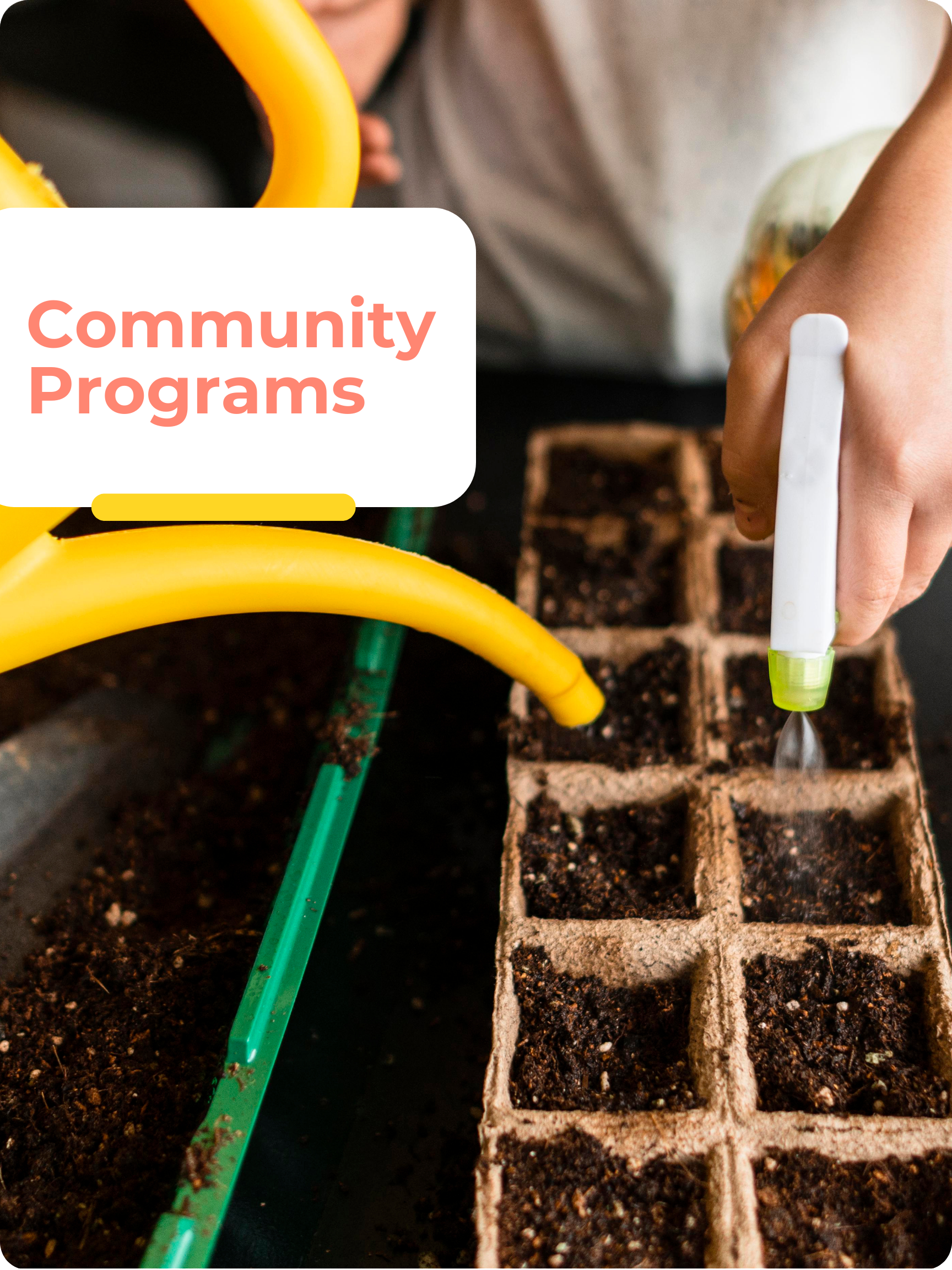 Select this image to explore Deschool's school programs, such as Microgreens and Water Filtration Systems